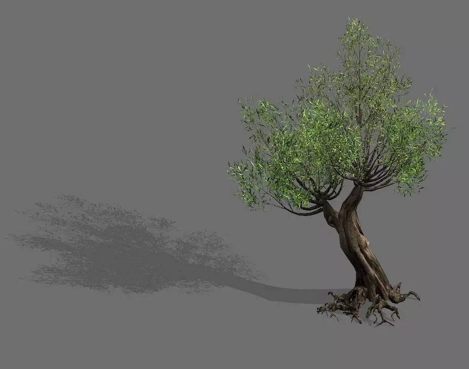 Salix-desert plant 16 3D model_0