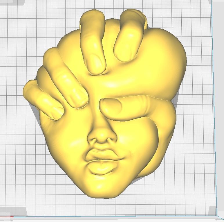Squeezed Face - Art Piece 3D print model_1