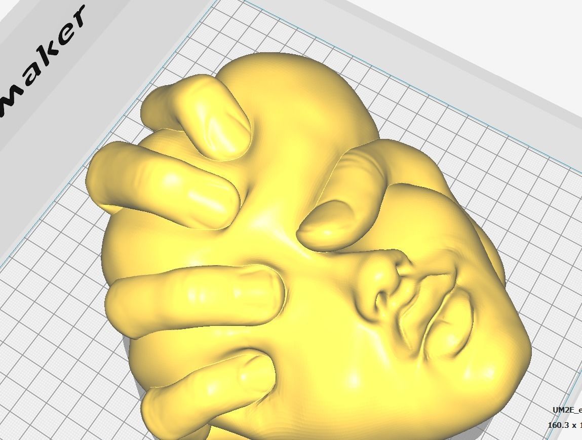 Squeezed Face - Art Piece 3D print model_6