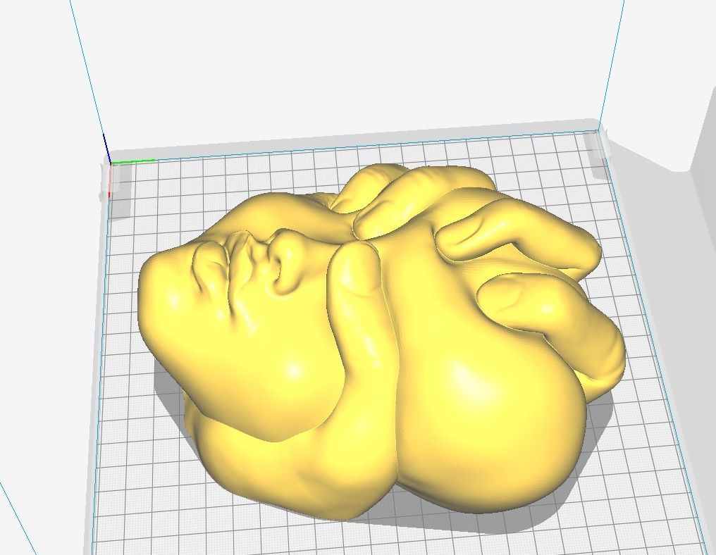 Squeezed Face - Art Piece 3D print model_3