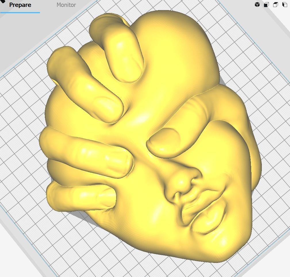 Squeezed Face - Art Piece 3D print model_7