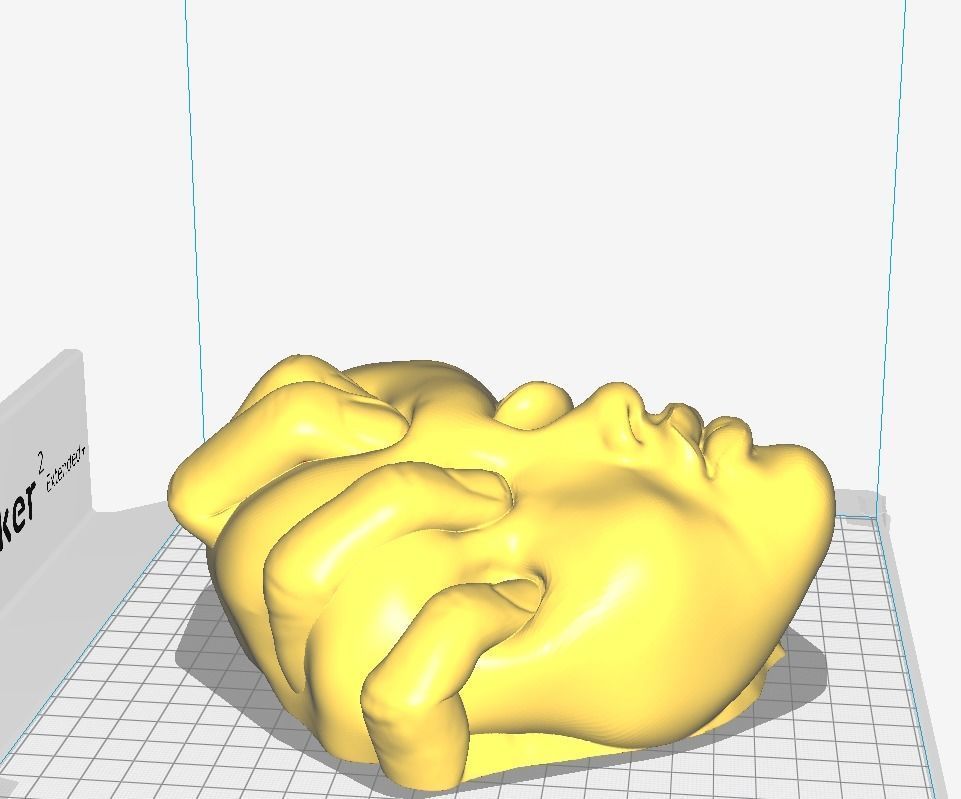 Squeezed Face - Art Piece 3D print model_5