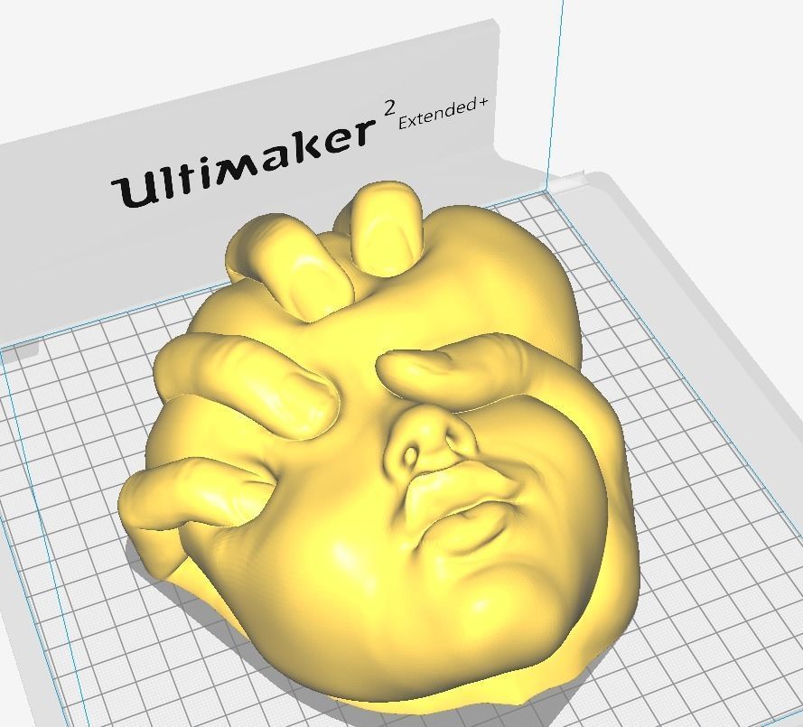 Squeezed Face - Art Piece 3D print model_2