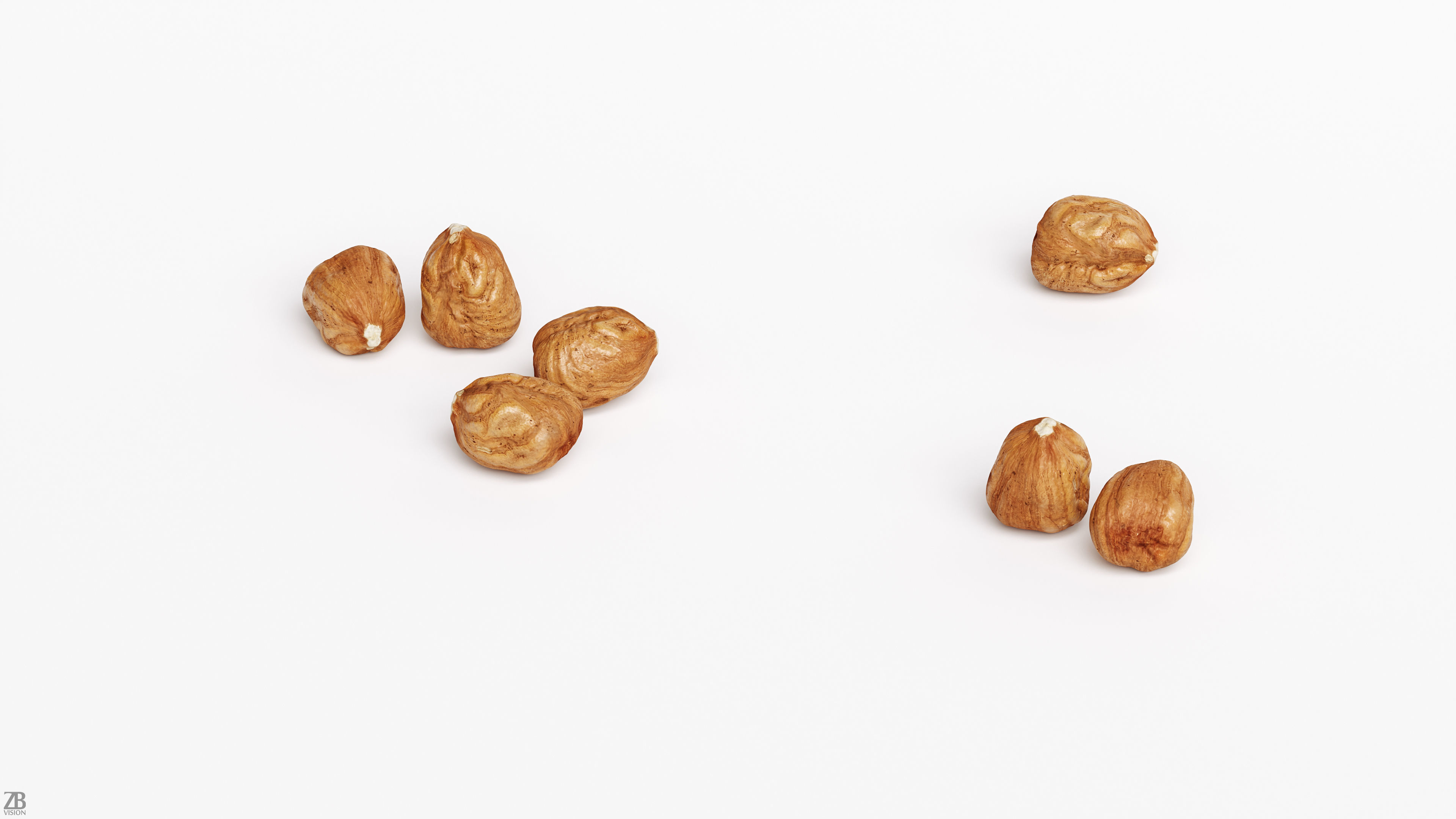 Hazelnut 3D model_1