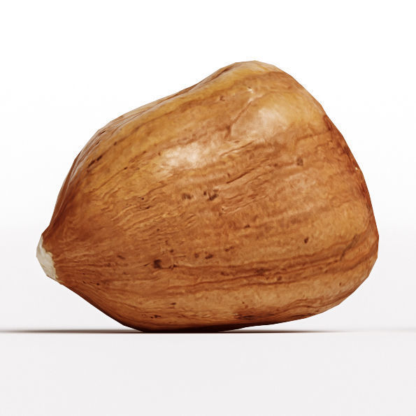Hazelnut 3D model_5