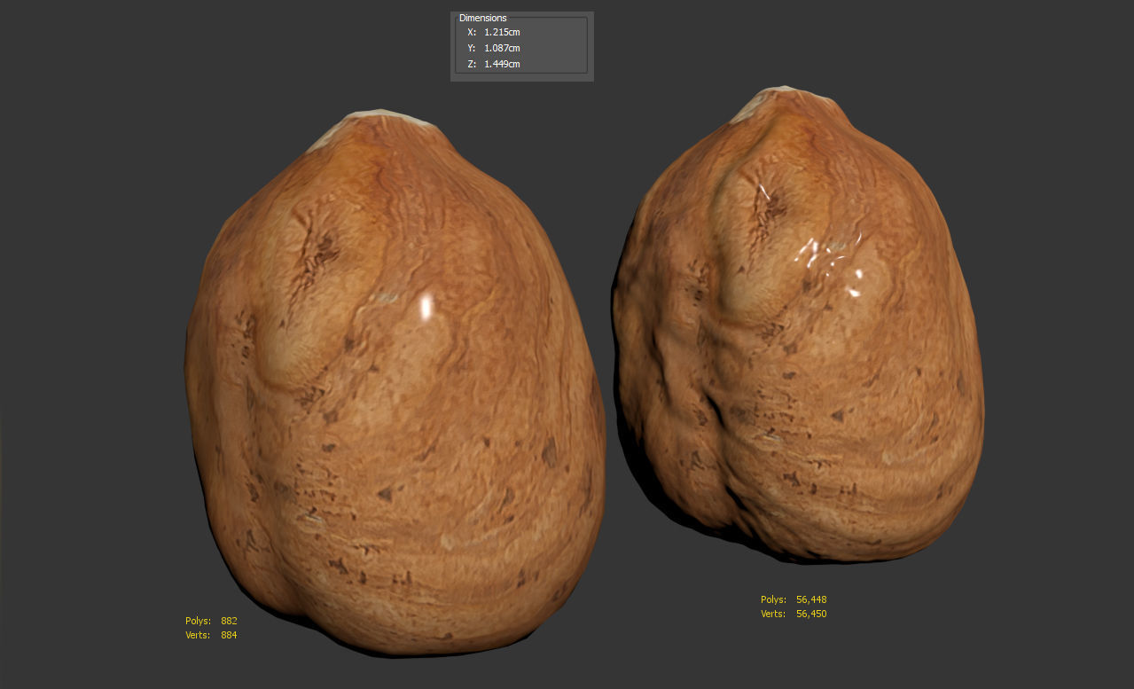 Hazelnut 3D model_10