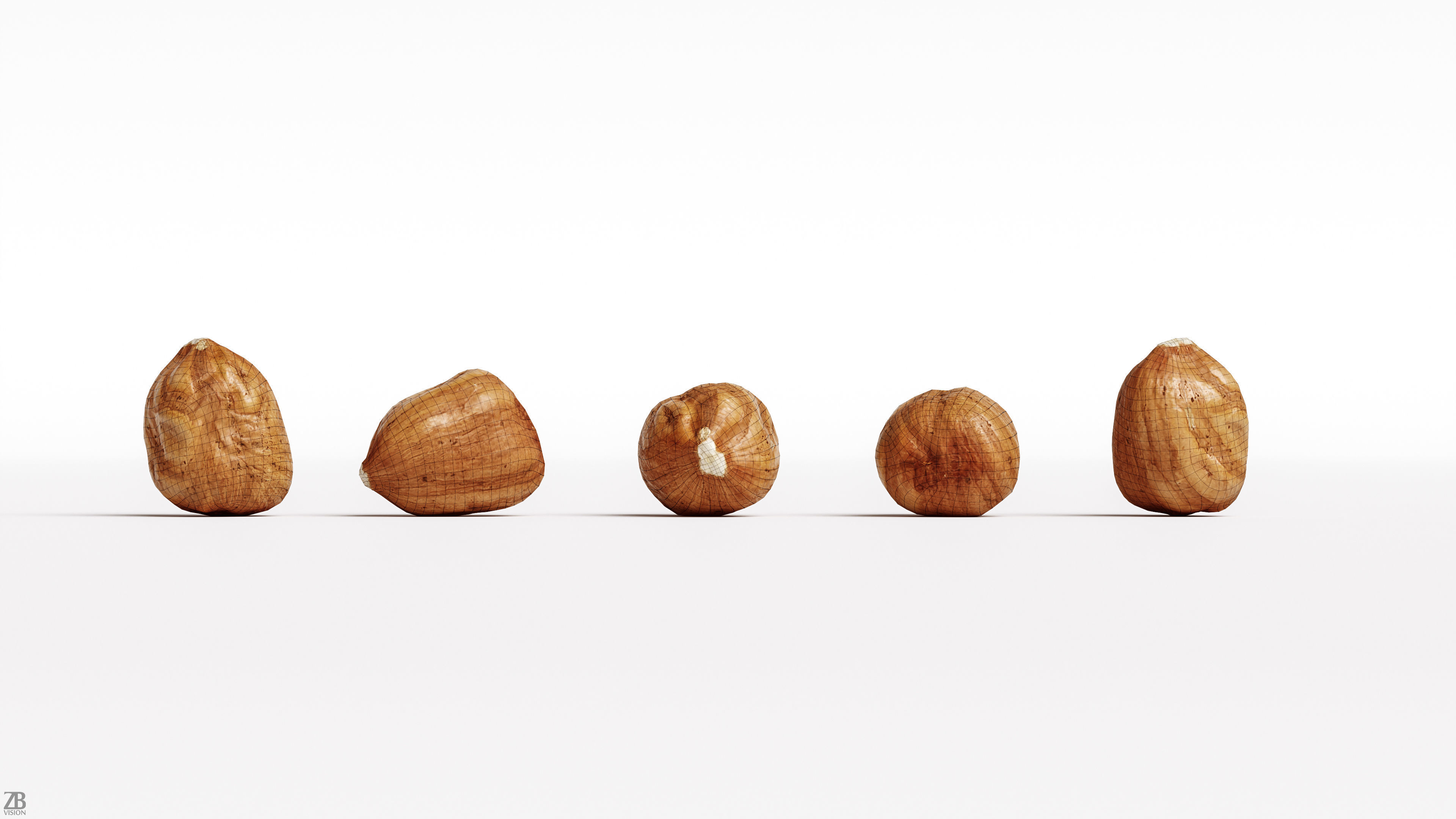 Hazelnut 3D model_9