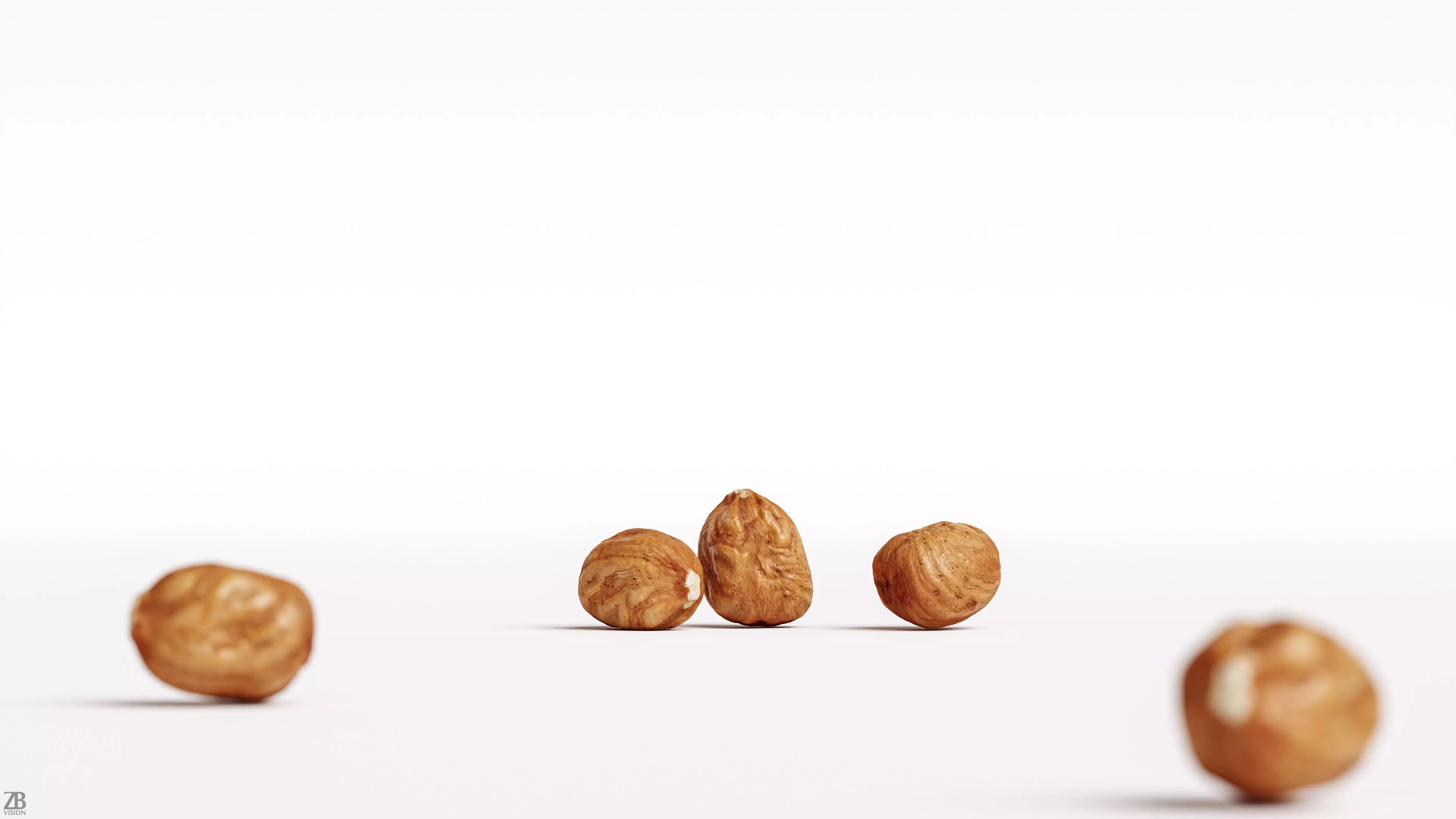 Hazelnut 3D model_0