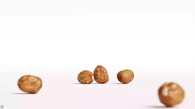 Hazelnut 3D model