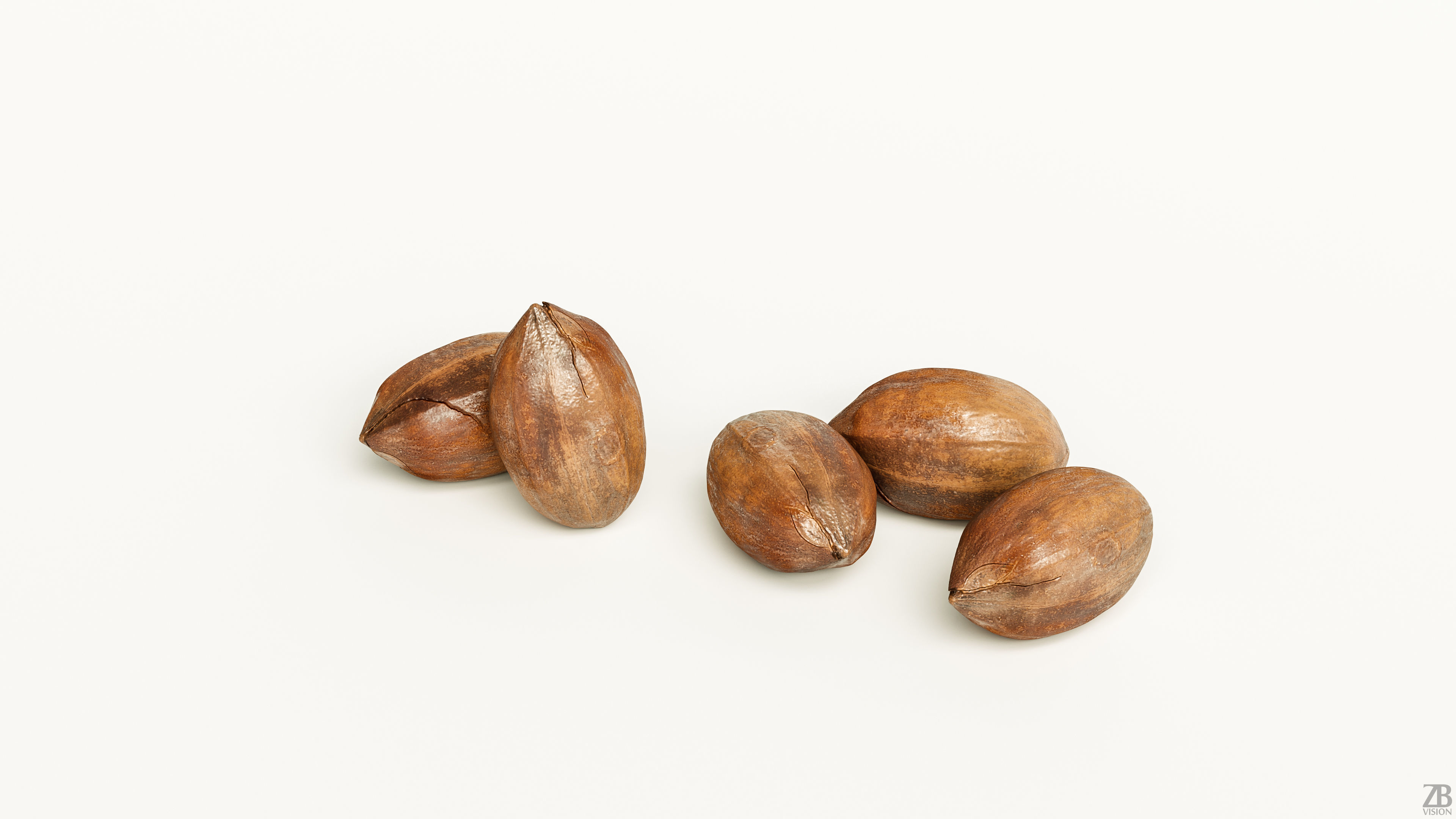 Pecan 3D model_2