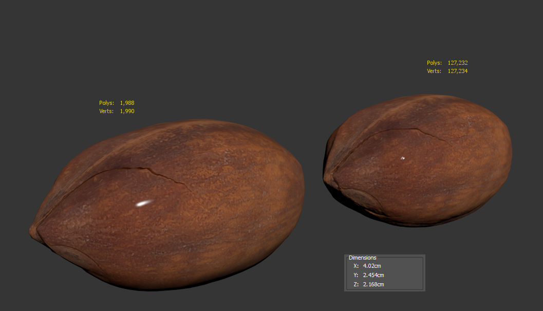 Pecan 3D model_10