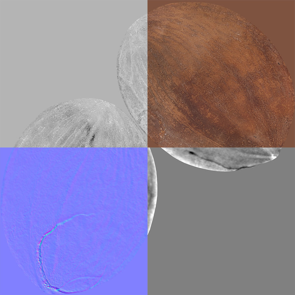 Pecan 3D model_11