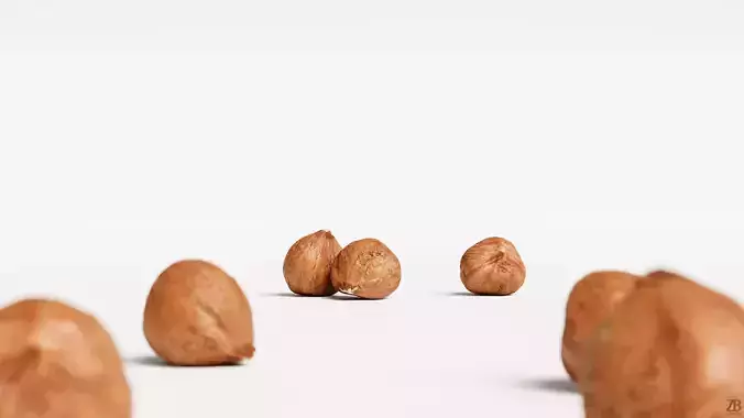 Hazelnut 3D model
