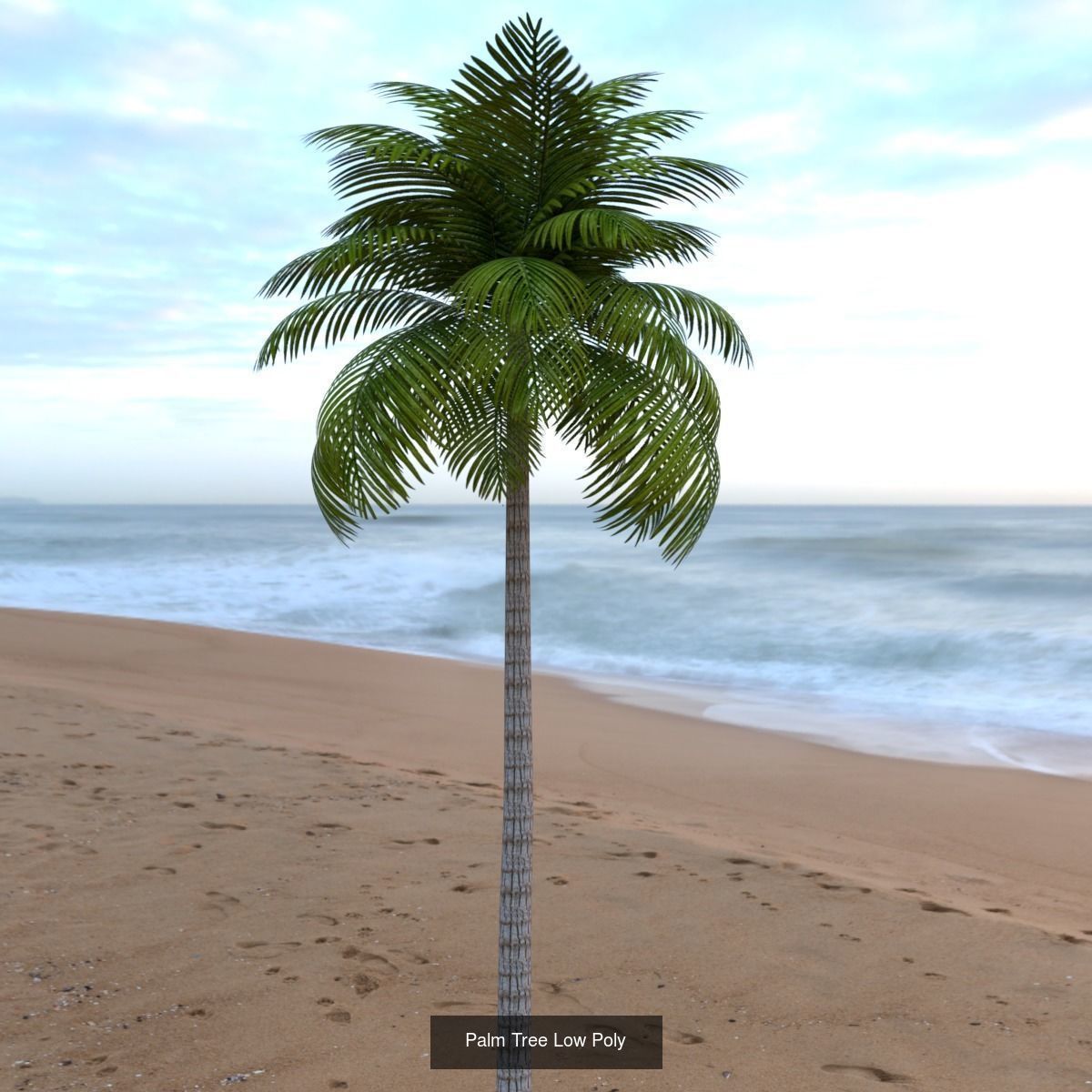 Palm Trees Low Poly 3D Model Collection_1