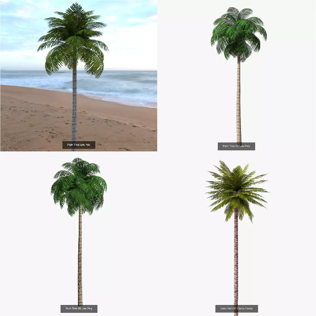 Palm Trees Low Poly 3D Model Collection_0