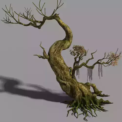 Hongri Taoist Temple-Tree