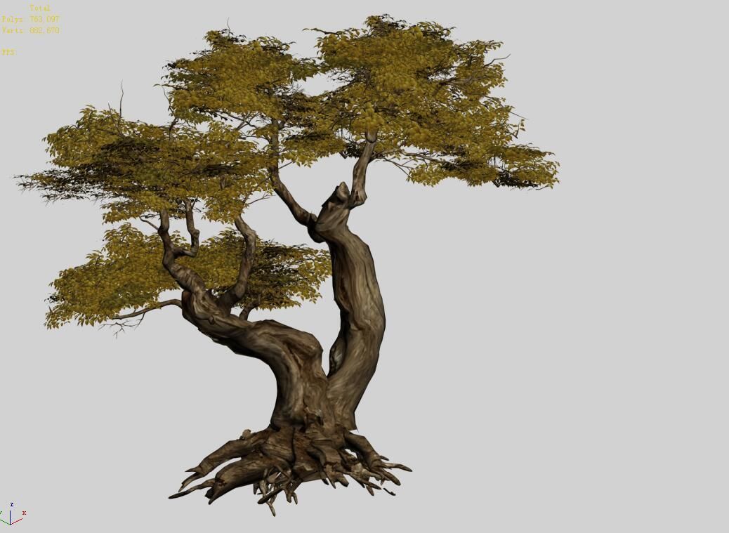 Populus euphratica-poplar-special tree 17 3D model_4