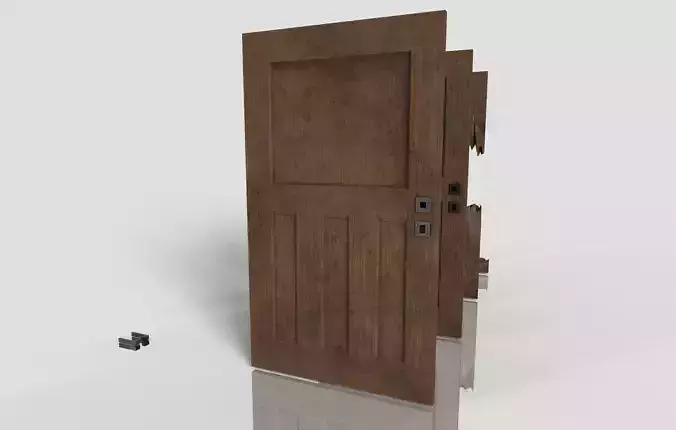 Wood Door - Damage - Old