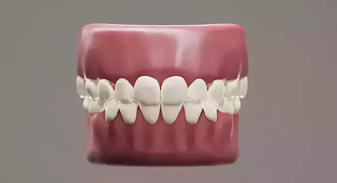 Primary Human Teeth PBR