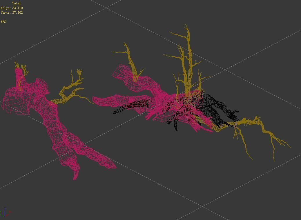 Populus euphratica-poplar-special tree 18 3D model_3