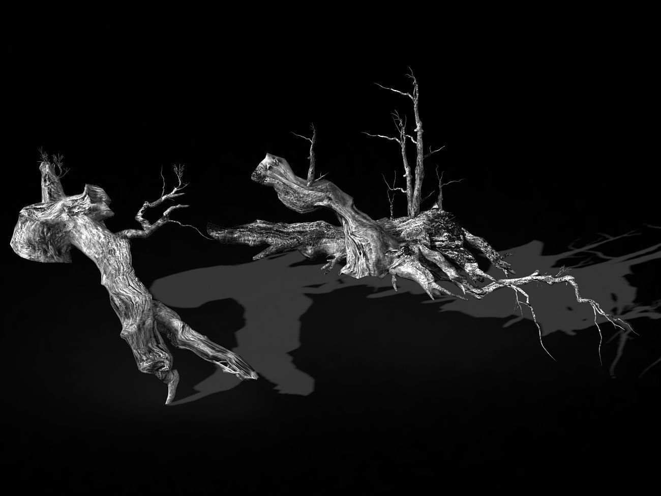 Populus euphratica-poplar-special tree 18 3D model_2