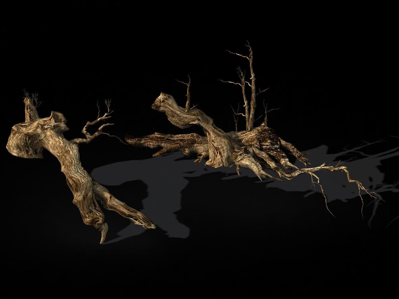 Populus euphratica-poplar-special tree 18 3D model_1