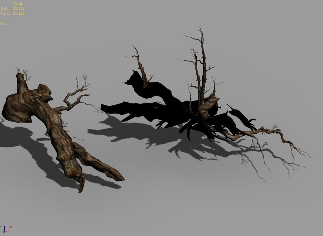 Populus euphratica-poplar-special tree 18 3D model_4