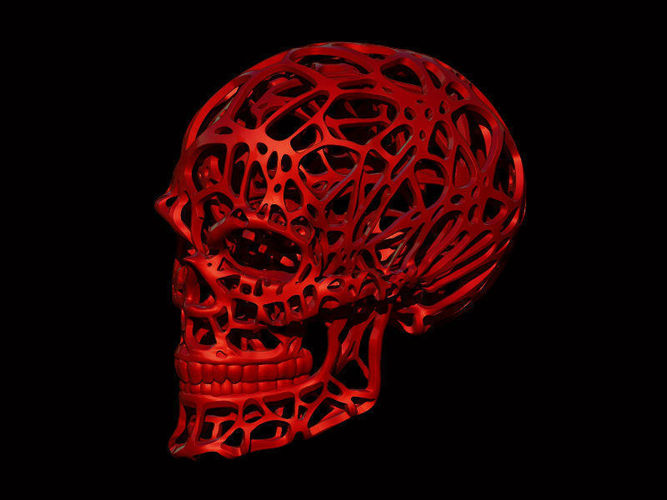 Wired Skull 3D print model