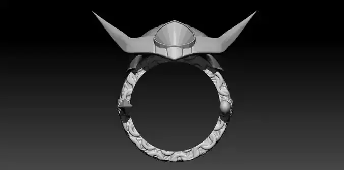 Ring Shun 3D print model