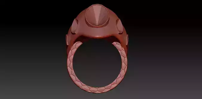 Ring Ichi 3D print model