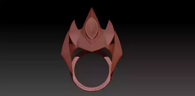 Ring Nachi 3D print model