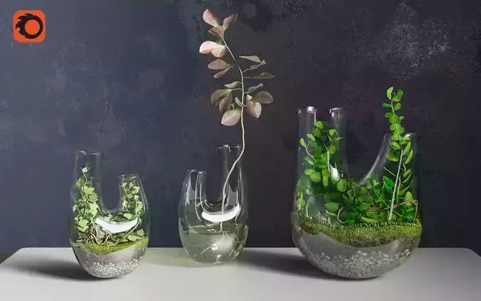 Plant Terrarium SET1