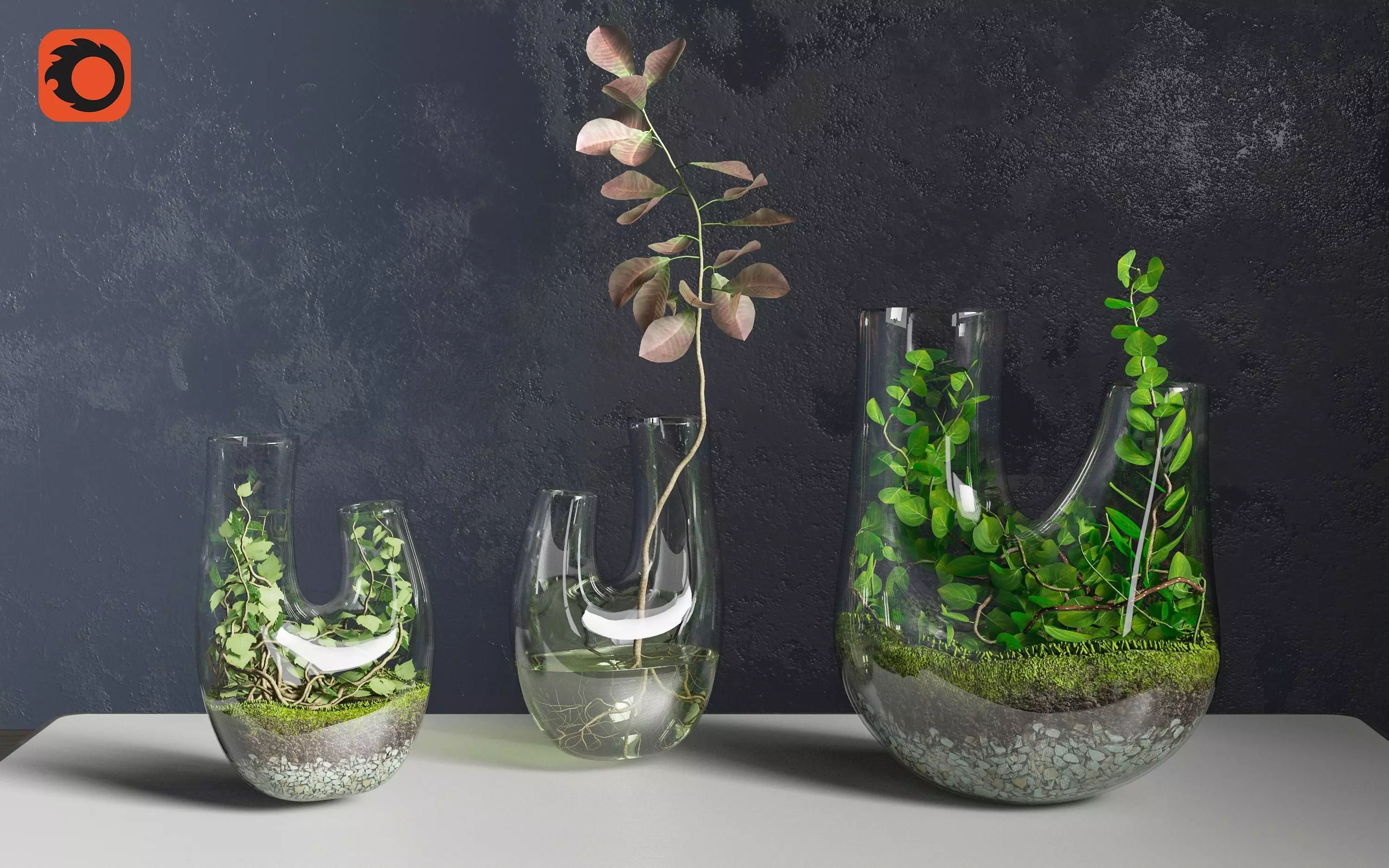 Plant Terrarium SET1 3D model