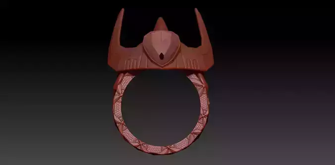 Ring ikki 3D print model