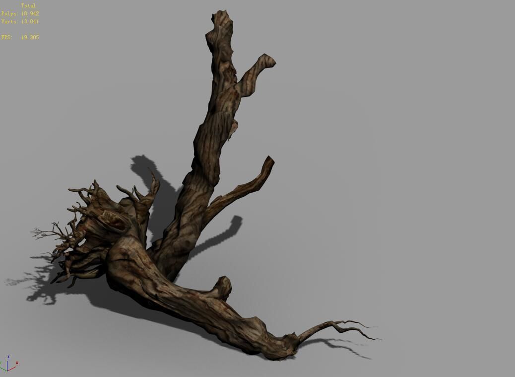 Populus euphratica-poplar-special tree 20 3D model_4