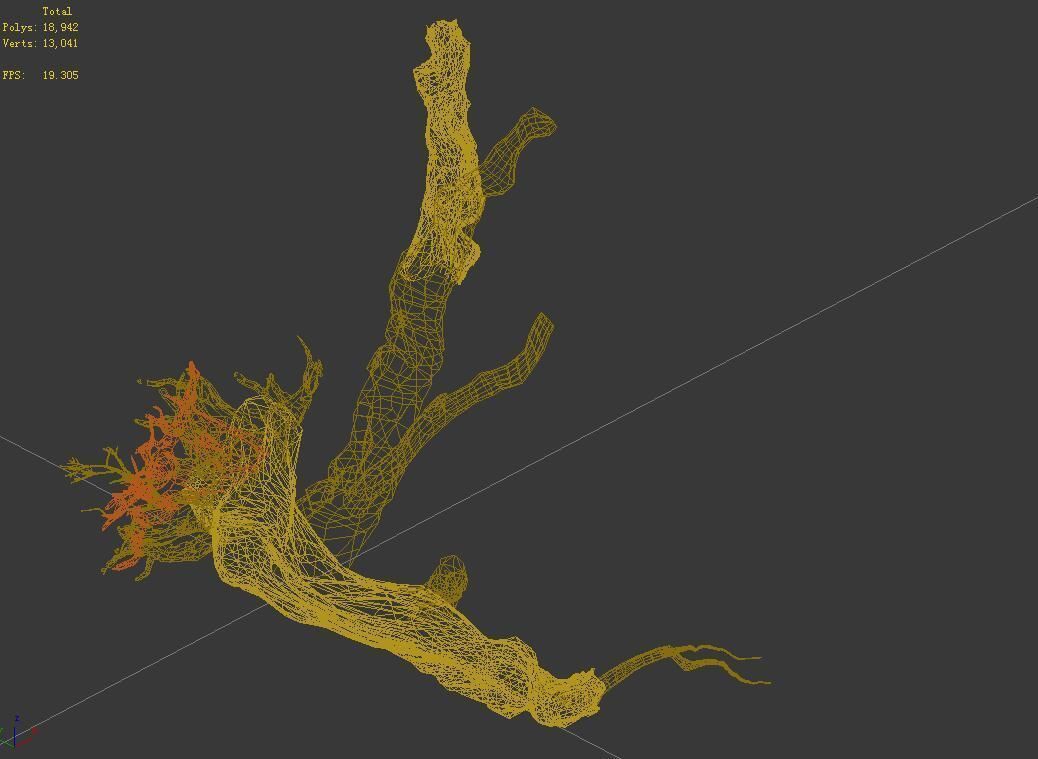 Populus euphratica-poplar-special tree 20 3D model_3
