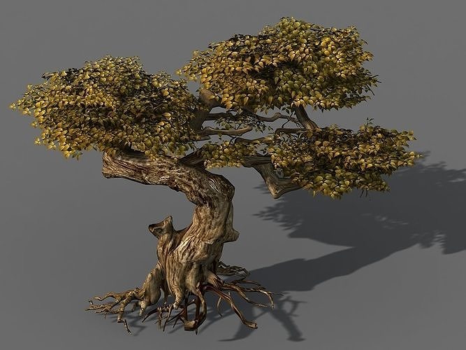 Populus euphratica-poplar-special tree 21 3D model