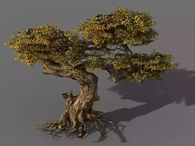 Populus euphratica-poplar-special tree 21 3D model