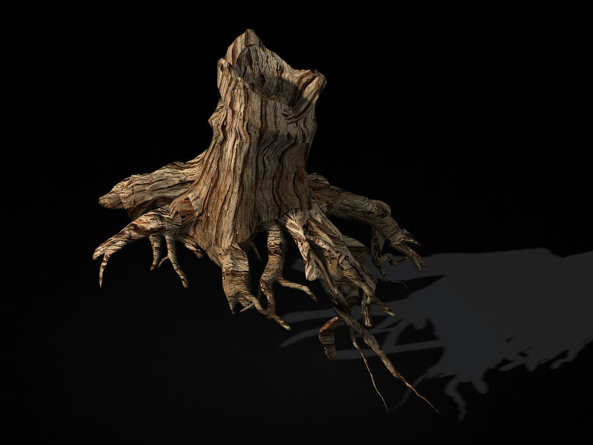 Populus euphratica-poplar-special tree 27 3D model_1