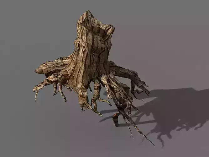 Populus euphratica-poplar-special tree 27 3D model