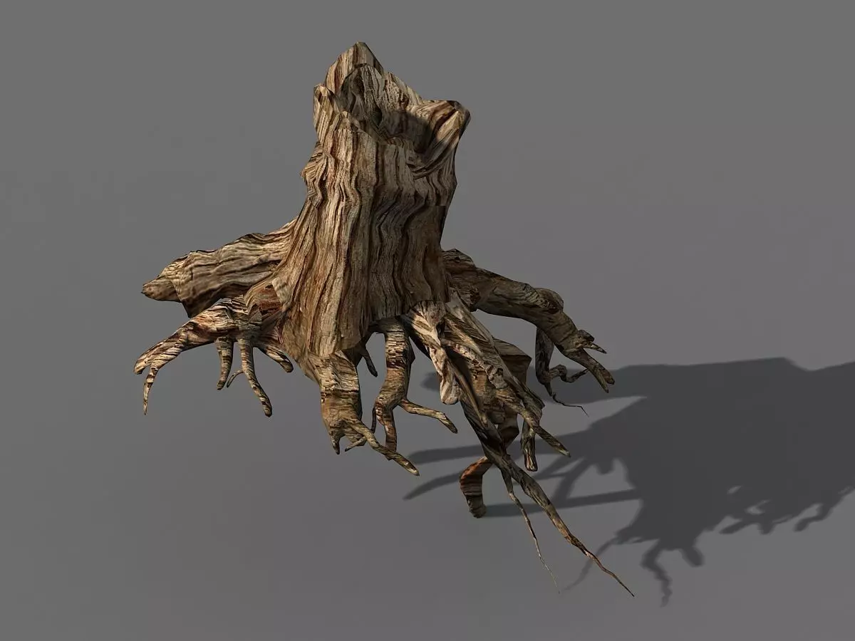 Populus euphratica-poplar-special tree 27 3D model_0