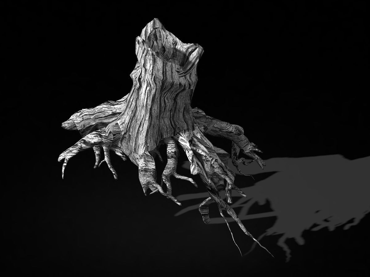 Populus euphratica-poplar-special tree 27 3D model_2