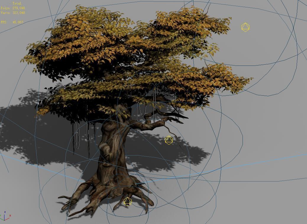 Populus euphratica-poplar-special tree 28 3D model_4