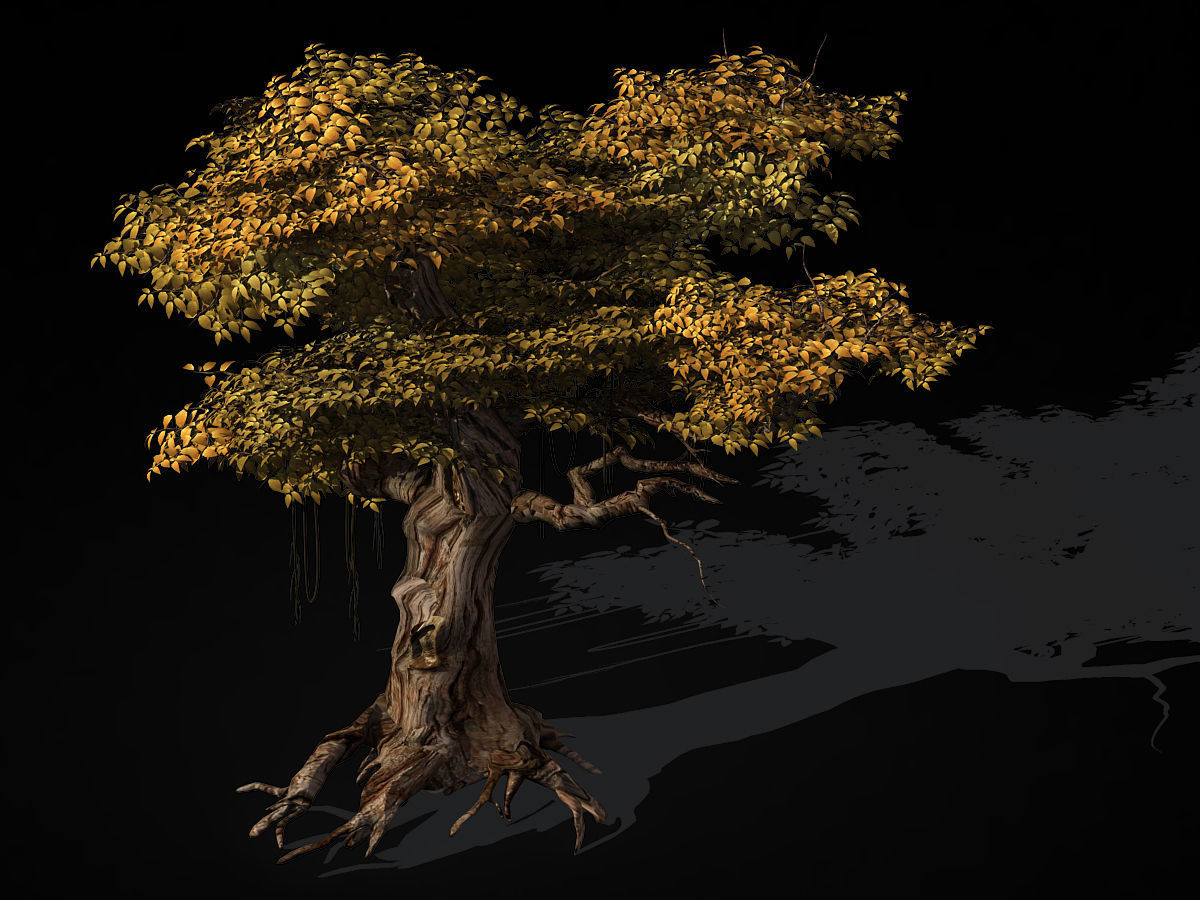 Populus euphratica-poplar-special tree 28 3D model_1