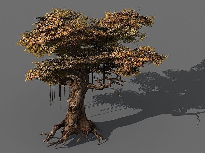 Populus euphratica-poplar-special tree 28 3D model