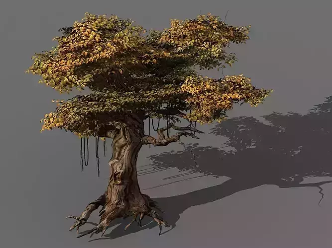 Populus euphratica-poplar-special tree 28