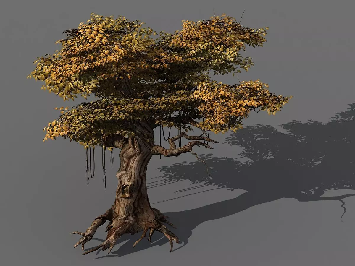 Populus euphratica-poplar-special tree 28 3D model_0