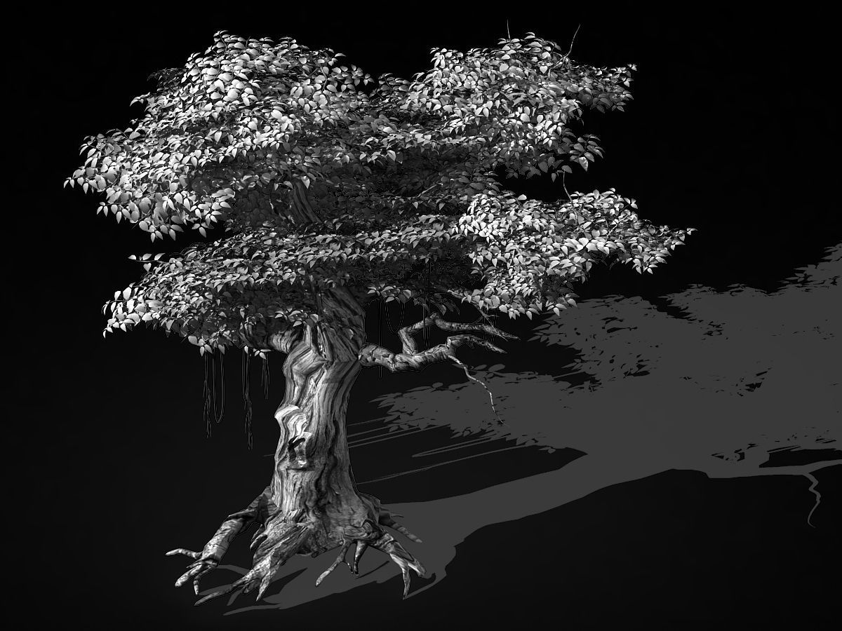 Populus euphratica-poplar-special tree 28 3D model_2