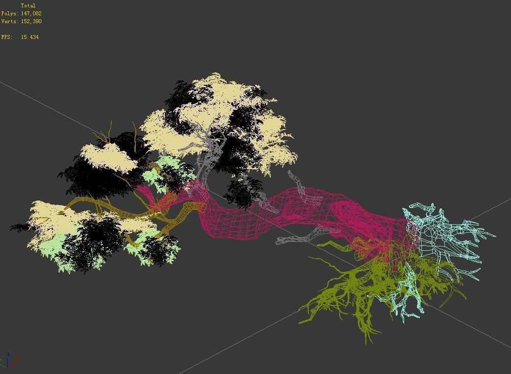 Populus euphratica-poplar-special tree 30 3D model_3