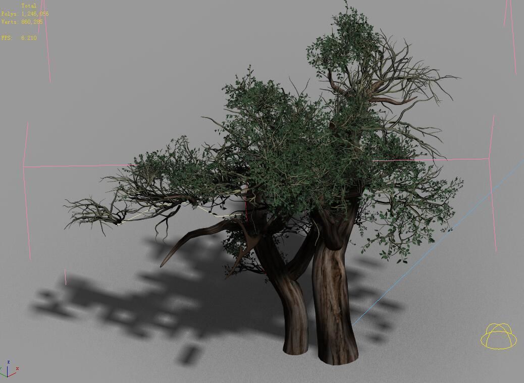 Populus euphratica-poplar-special tree 31 3D model_4
